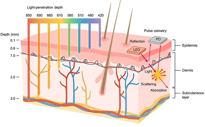 Light penetration depth