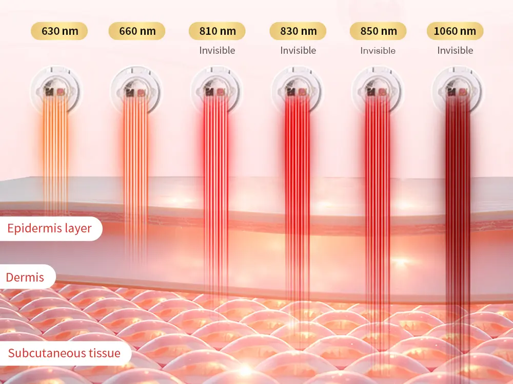 630nm 660nm 810nm 830nm 850nm 1060nm light penetration into skin layers