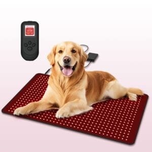 Golden retriever lying on BE700 pet red light therapy pad with controller and power bank