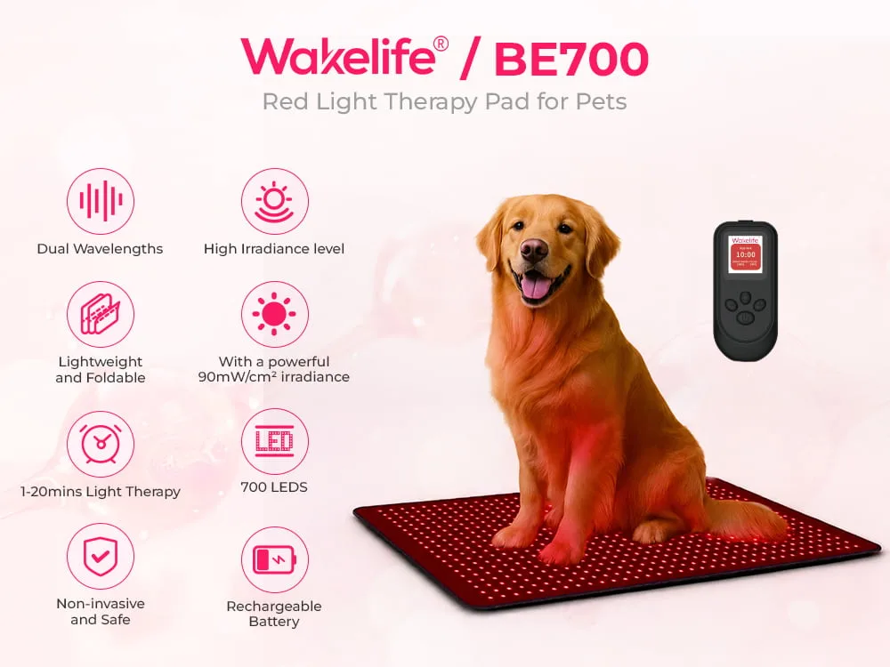BE700 pet red light therapy pad with dual wavelengths and high irradiance features