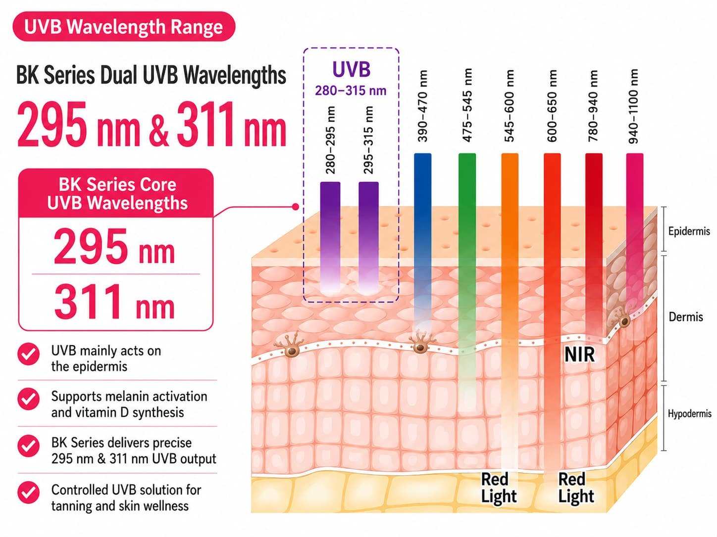 Wakelife BK Series UVB wavelength range diagram highlighting 295 nm and 311 nm dual UVB wavelengths for tanning panels
