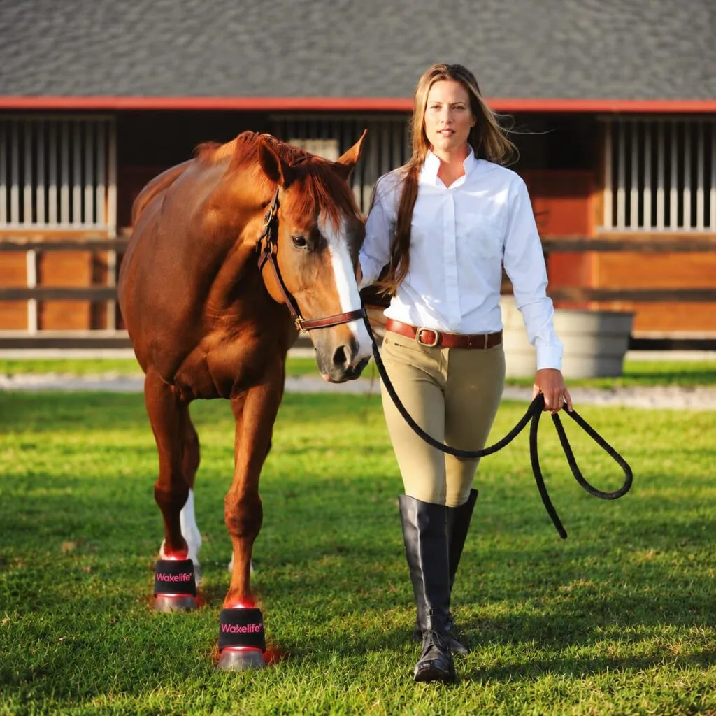 Horse wearing Wakelife D01 hoof light care wraps with handler outdoors