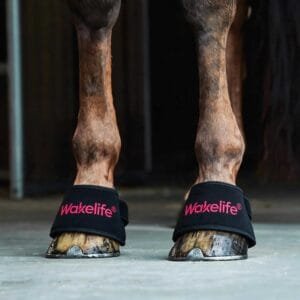 Close-up of horse wearing Wakelife D01 hoof light care wraps in a stable