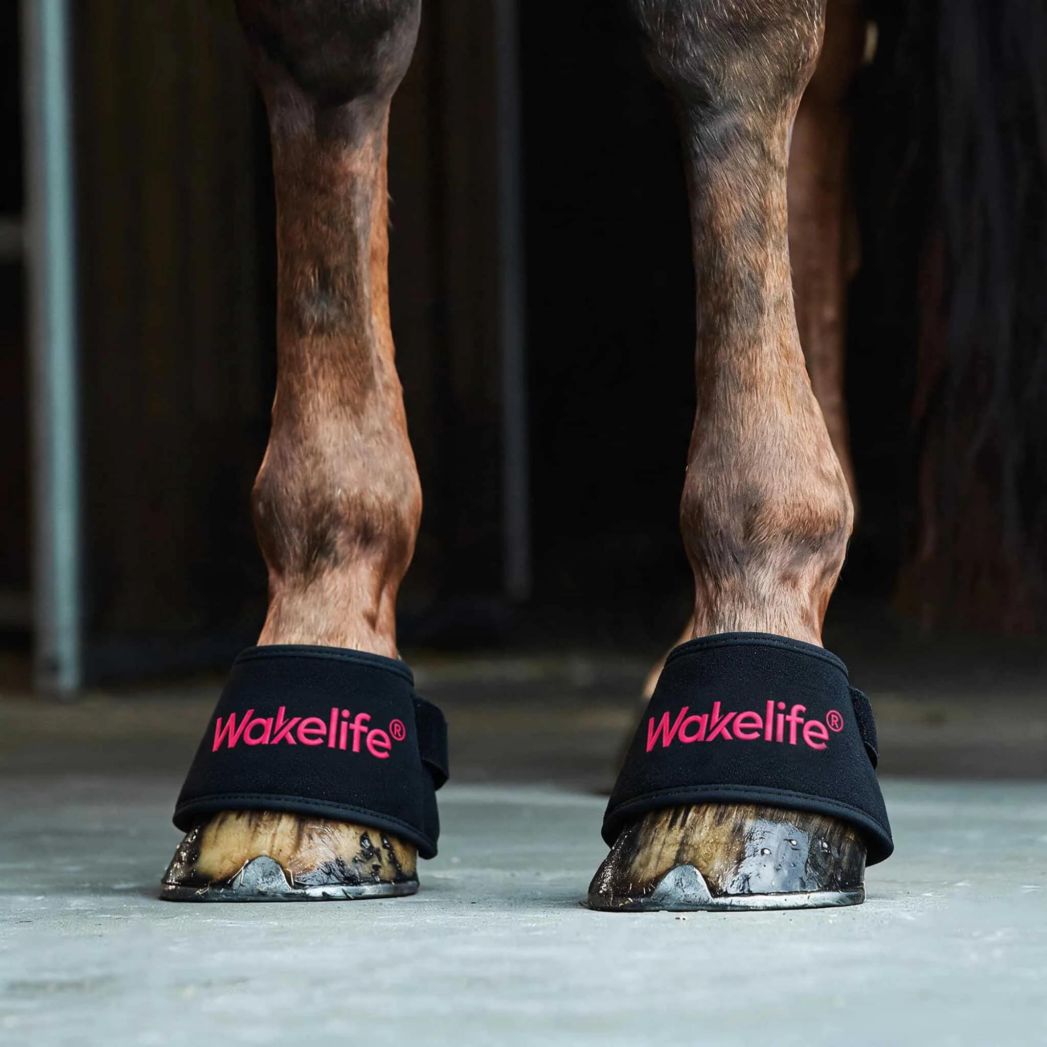 Close-up of horse wearing Wakelife D01 hoof light care wraps in a stable