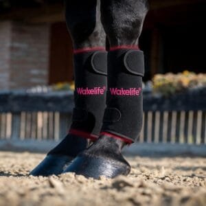 Horse wearing Wakelife D03 leg light care wraps