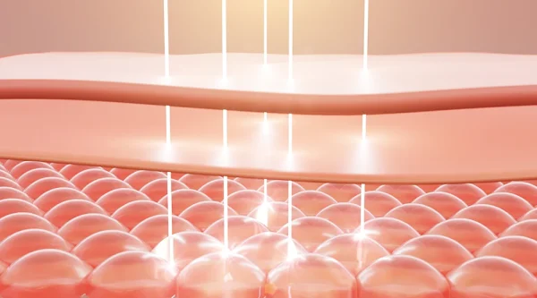 LED light penetrates the skin LED light penetrates the skin